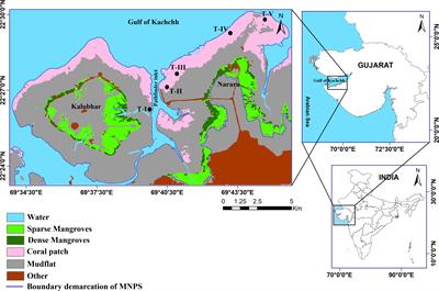 Diversity and Functional Patterns of Benthic Amphipods in the Coralline Intertidal Zones of a Marine National Park, India